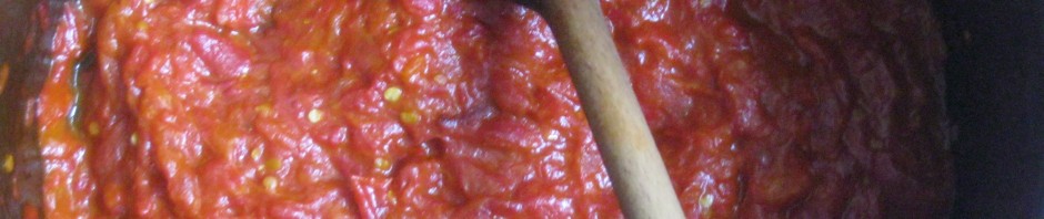 AJVAR SA PATLIDžANOM