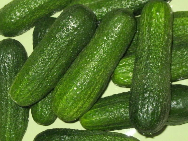 KISELI KORNIŠONI