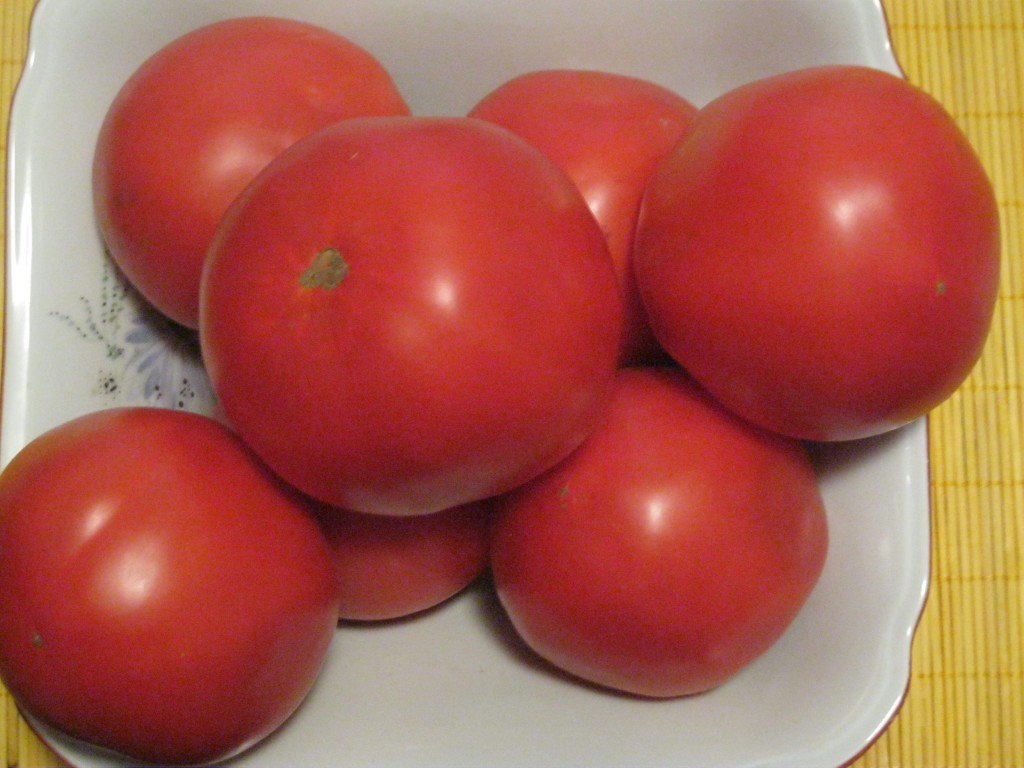 paradajz za sataras