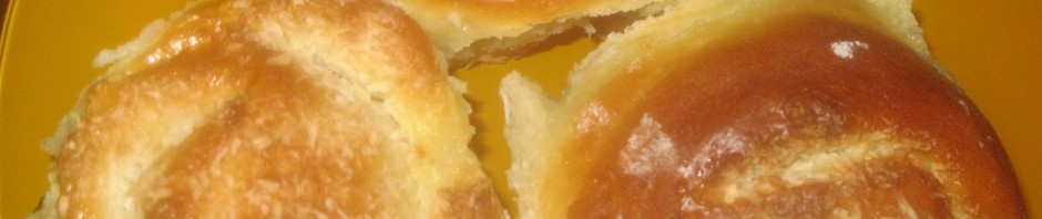 PUŽIĆI