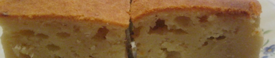 SLANA PITA BEZ KORA