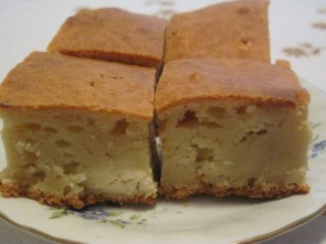 SLANA PITA BEZ KORA