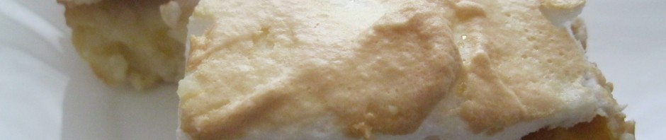 LETNjI KOLAČ SA BRESKVAMA
