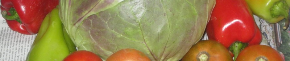 ŠARENA ZIMSKA SALATA
