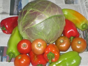ŠARENA ZIMSKA SALATA