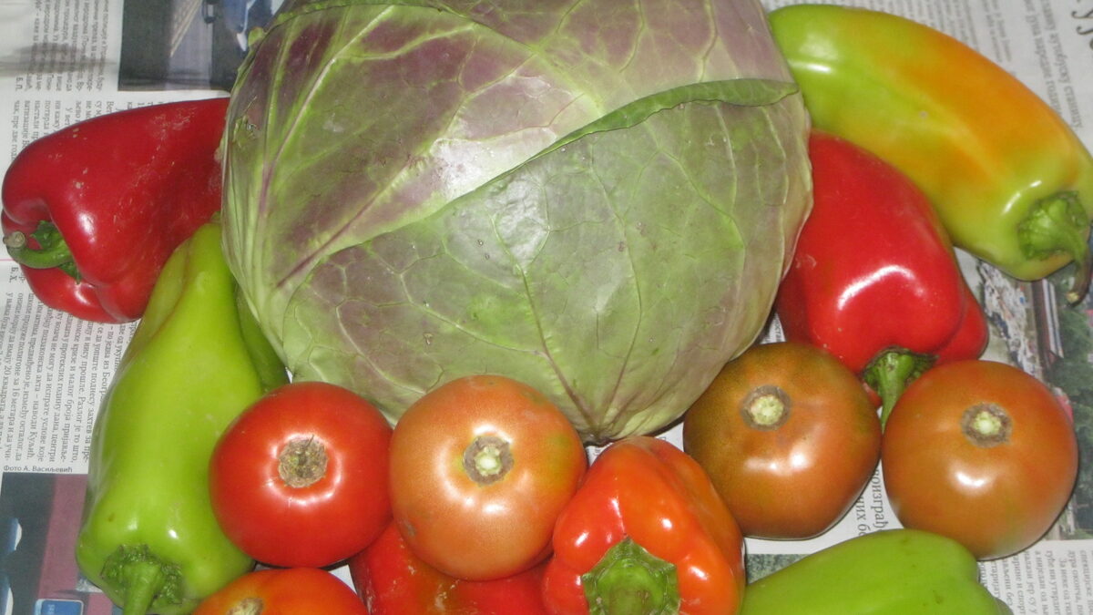 ŠARENA ZIMSKA SALATA