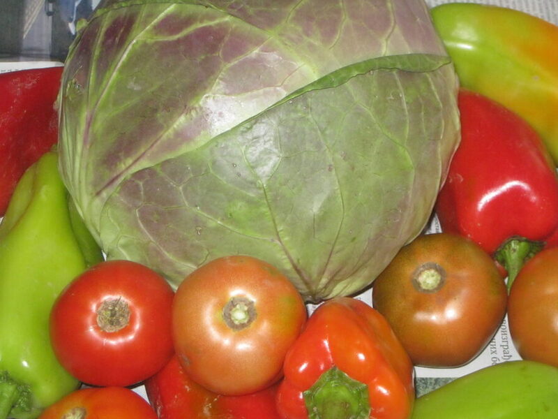 ŠARENA ZIMSKA SALATA