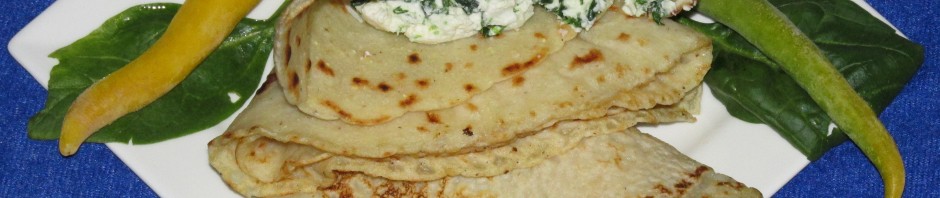 DOMAĆE TORTILjE