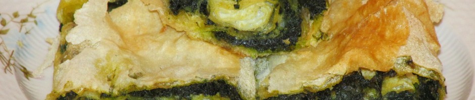 PITA OD KOPRIVA