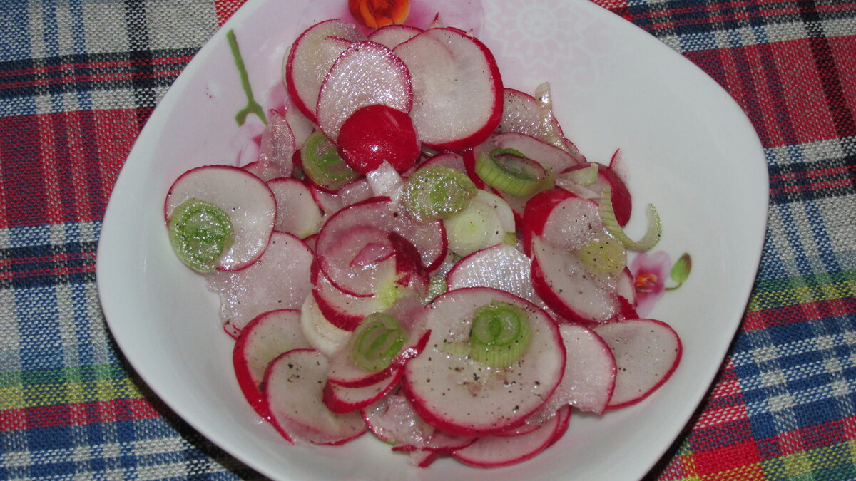 SALATA OD ROTKVICA