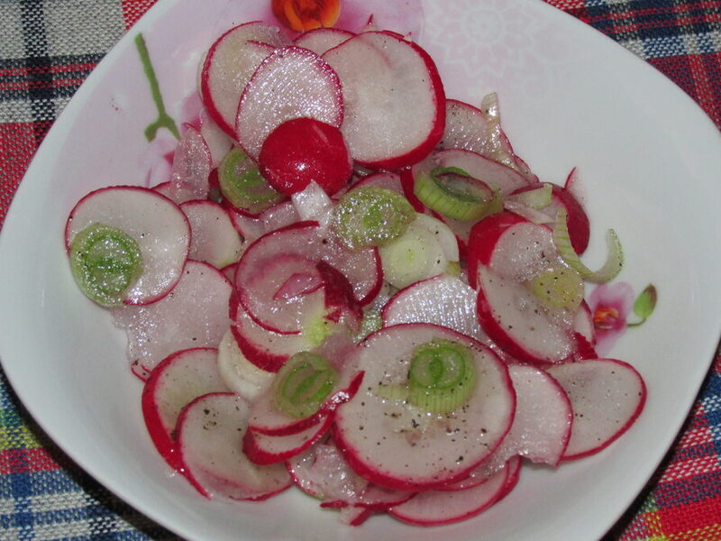 SALATA OD ROTKVICA
