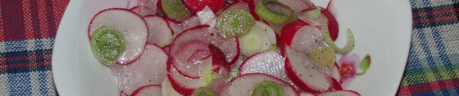 SALATA OD ROTKVICA